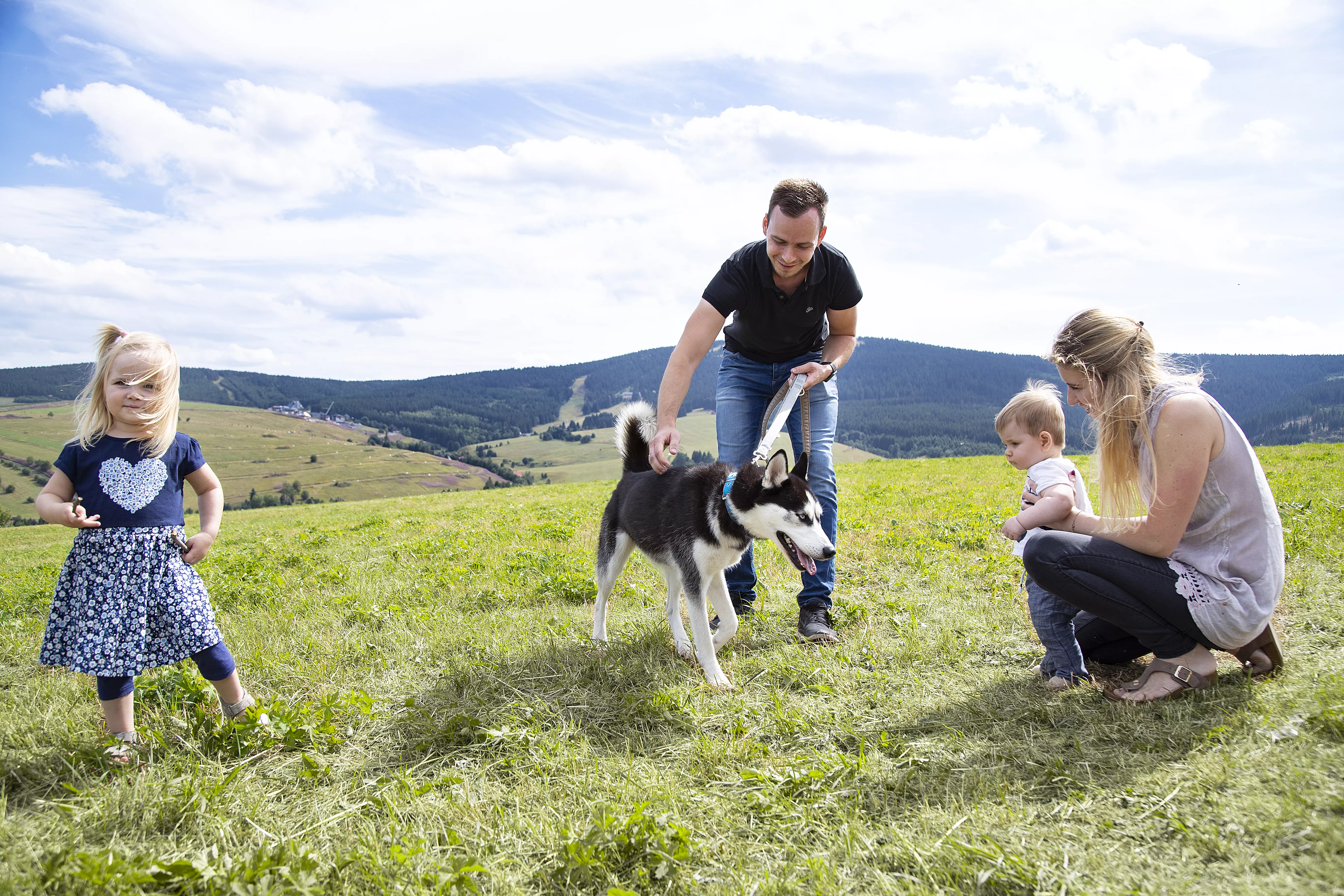 Elldus Familienwelt: Mit Hund in den Urlaub!
