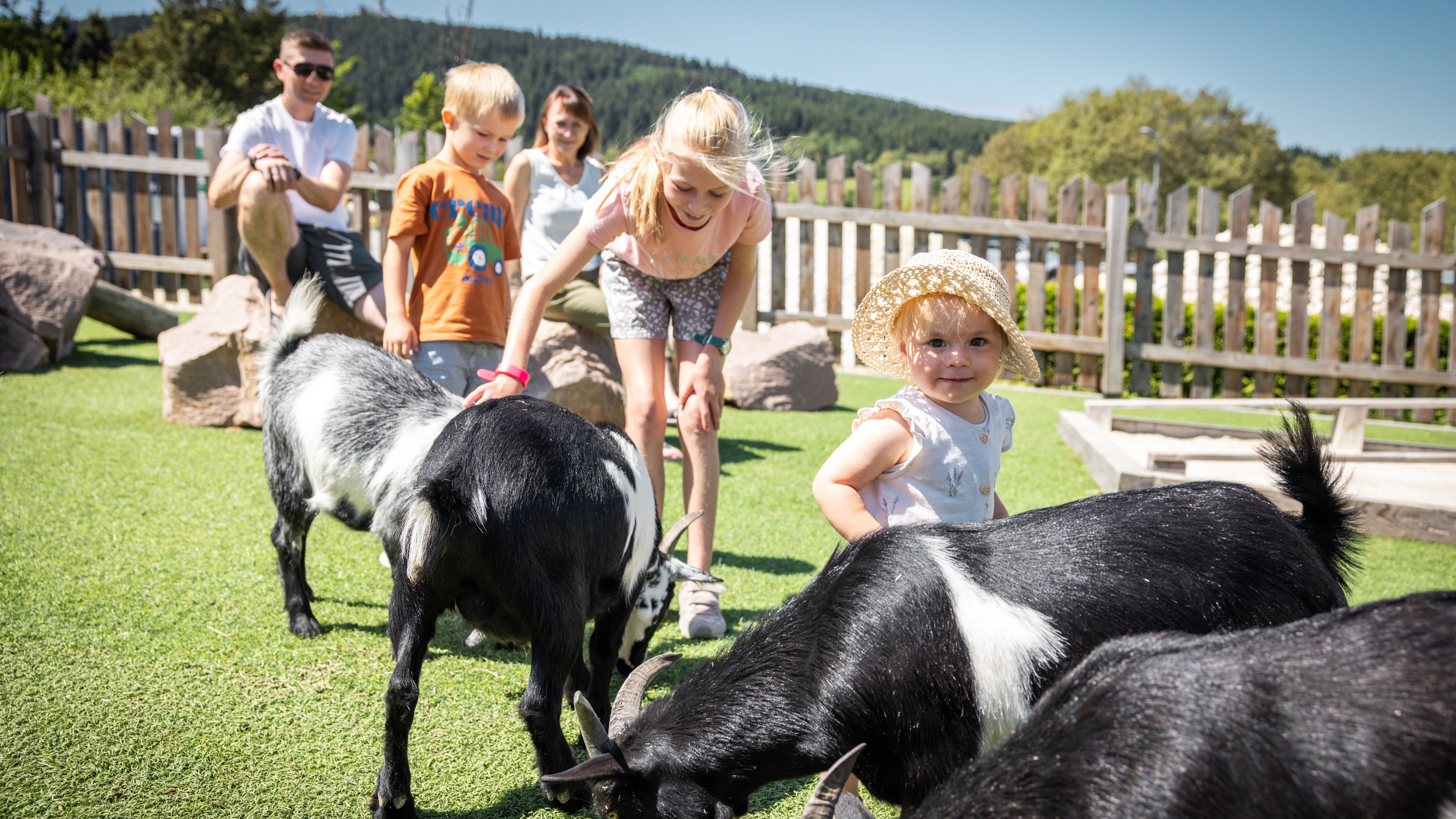 Sommer im Elldus Resort